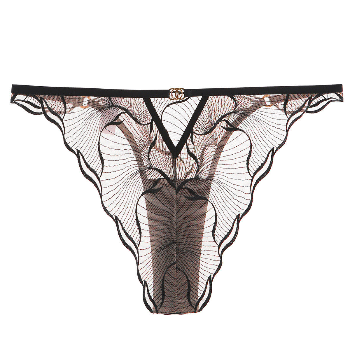 Transparent Embroidered Lace Lingerie Set with Low Waist and Triangle Pants, Greenwich Village, BYMANYC New York. - BYMANYC ® New York  